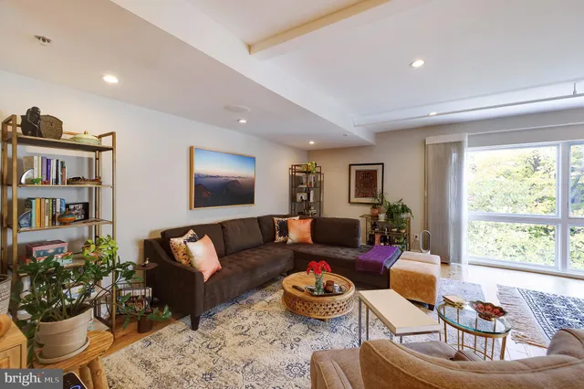 a living room with furniture and a potted plant
