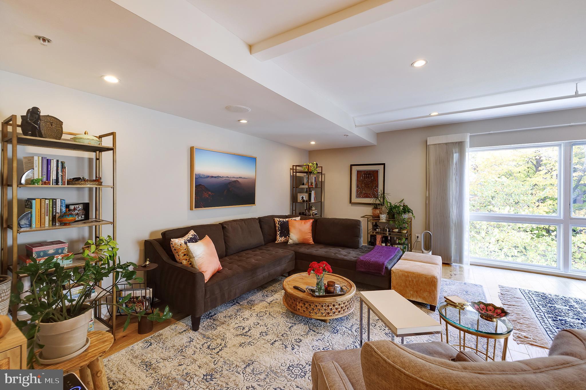 1514 Newton Street Northwest, Unit 301 Washington, DC 20010 - Photo 5 of 30 a living room with furniture and a potted plant