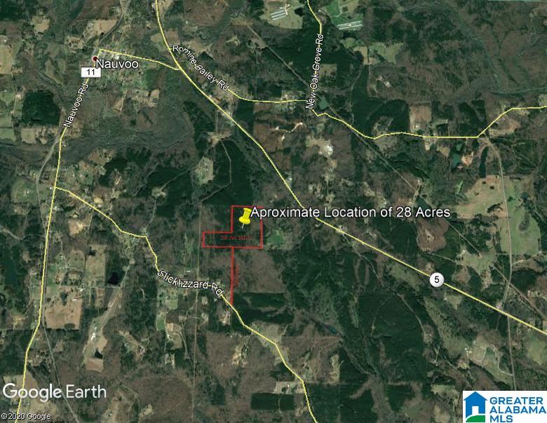 Slick Lizzard Road, Unit 1 Nauvoo, AL 35578 - Photo 1 of 8