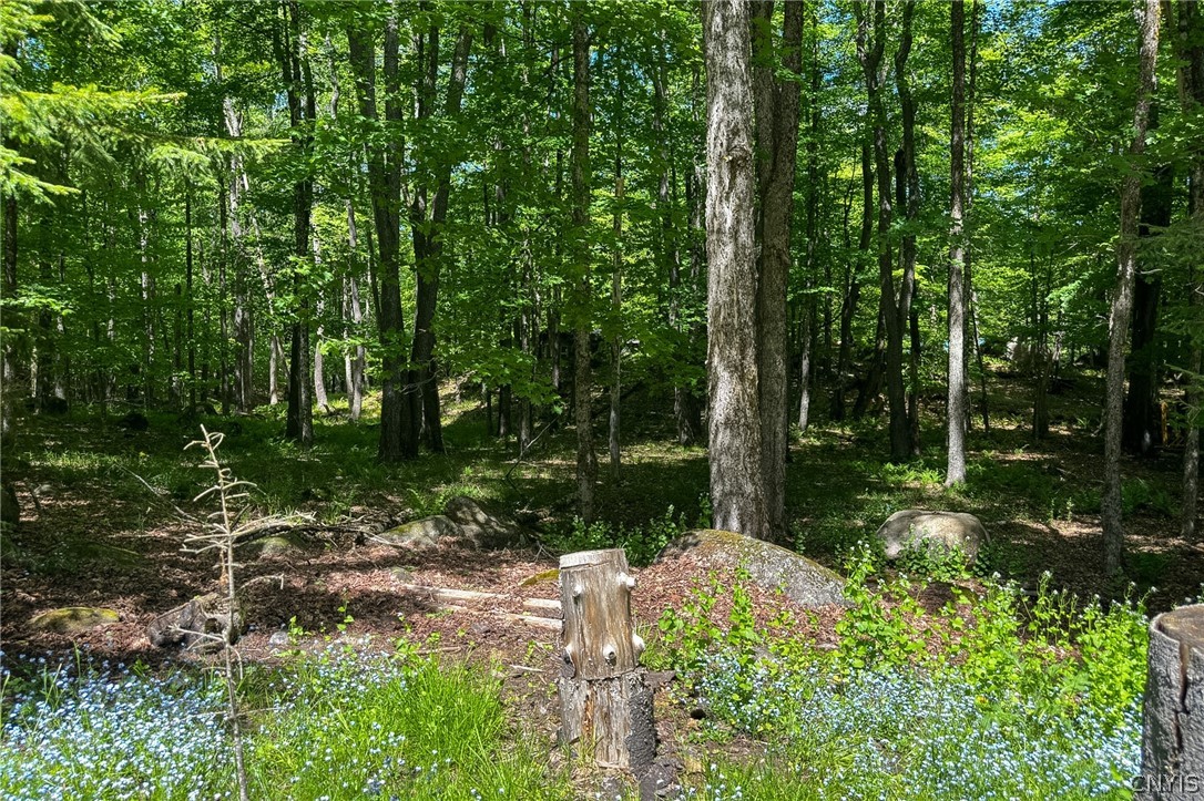 291 Joy Tract Road Webb, NY 13420 - Photo 17 of 24