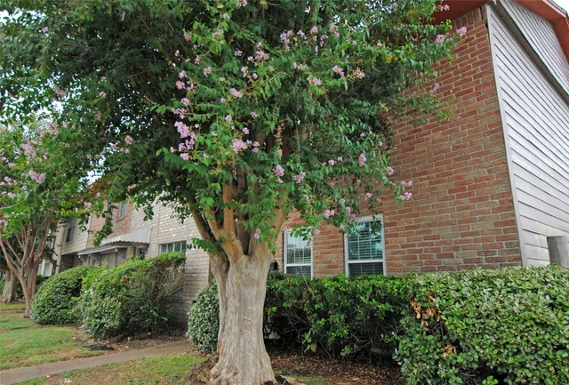 $1,400 | 7853 Fuqua Street, Unit 7853, Houston, TX 77075