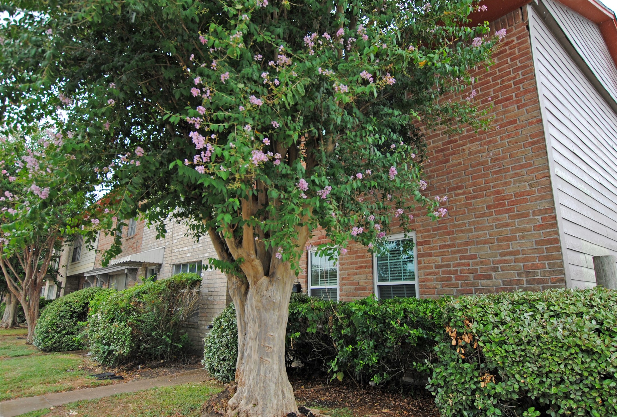 Front View of property