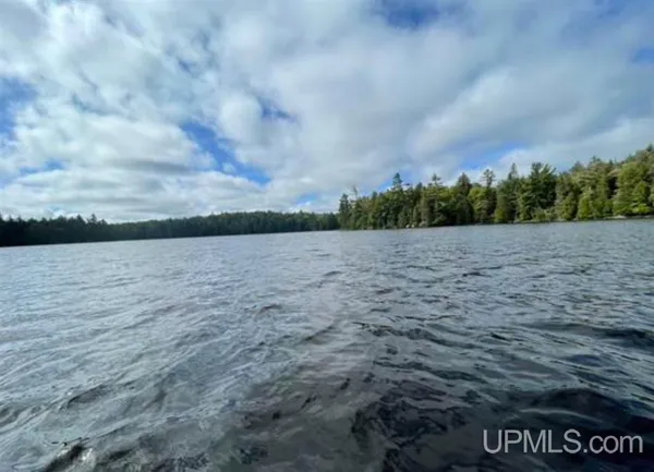 $450,000 | Tbd Tbd Loon Lake Road, Michigamme, MI 49861