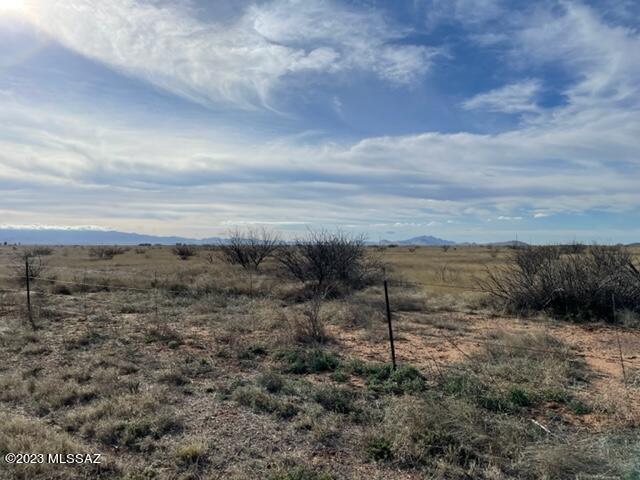 East Parker Ranch Road Willcox, AZ 85643 - Photo 11 of 12 a view of a dry yard with lots of trees