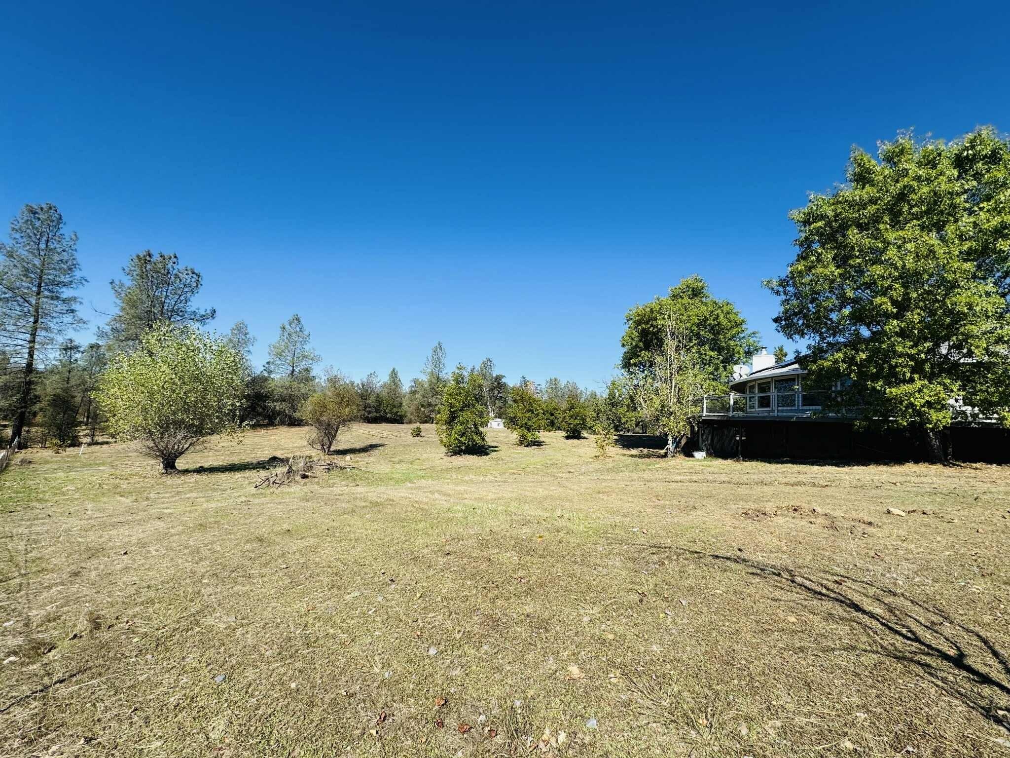 21283 Lela Lane Redding, CA 96003 - Photo 23 of 23 a view of a yard with a tree