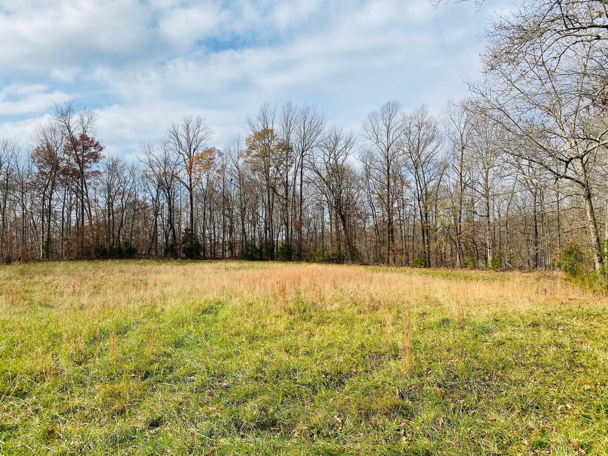 23 Stearns Holw Road Monticello, KY 42633 - Photo 25 of 25 IMG_4670