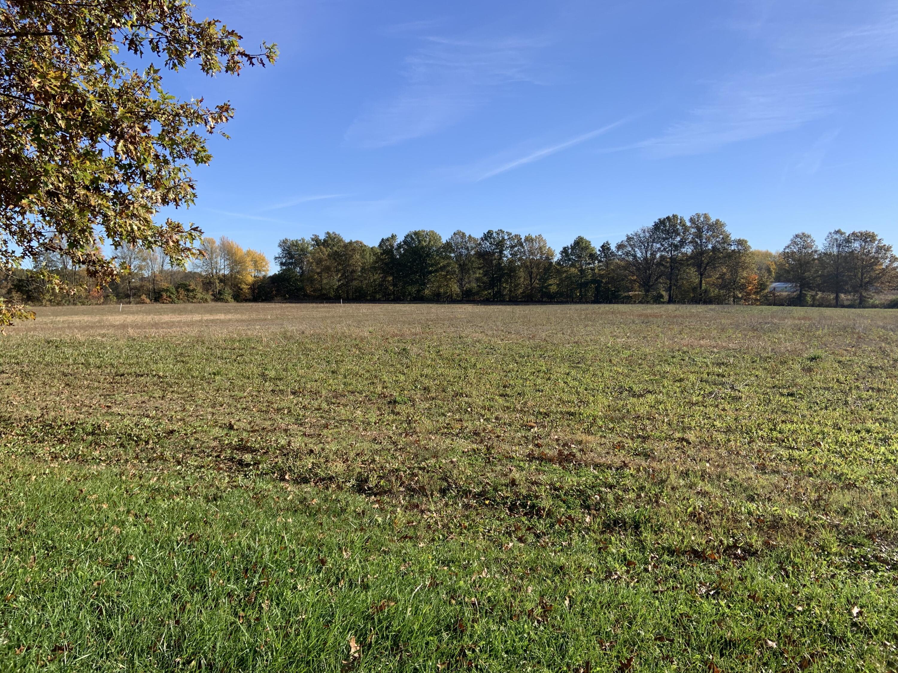 0 South Caledonia-Ashley Road South, Unit TRACT 1 Cardington, OH 43315 - Photo 2 of 5 IMG_8504 (1)