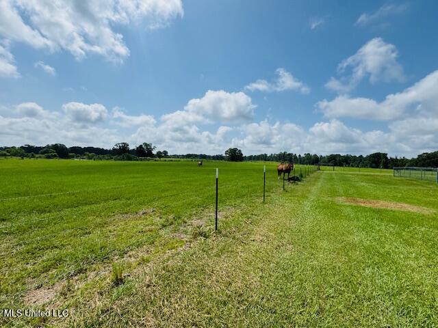 1168 Clem Nettles Road Jayess, MS 39641 - Photo 40 of 55 IMG_5646