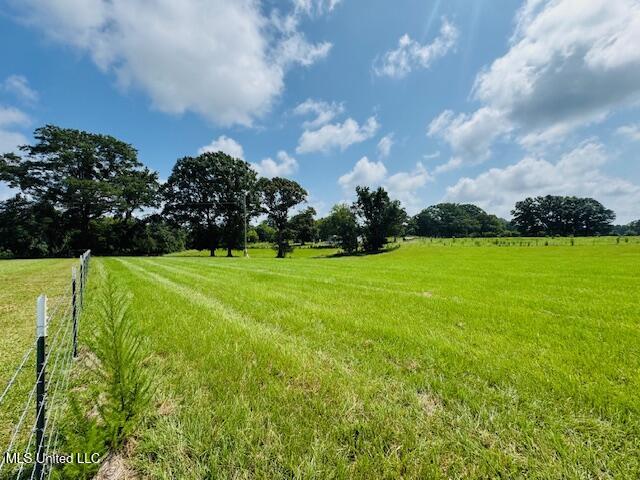1168 Clem Nettles Road Jayess, MS 39641 - Photo 46 of 55 IMG_5652