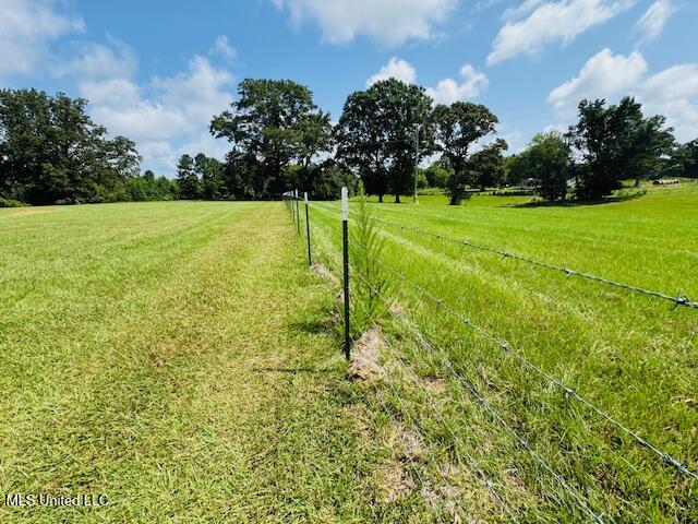 1168 Clem Nettles Road Jayess, MS 39641 - Photo 47 of 55 IMG_5653