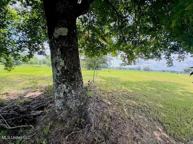 $372,500 | 1168 Clem Nettles Road, Jayess, MS 39641