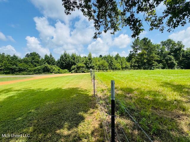 1168 Clem Nettles Road Jayess, MS 39641 - Photo 51 of 55 IMG_5657