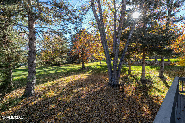 2522 Lake Ridge Shores Circle Reno, NV 89519 - Photo 20 of 50 a view of a yard with large trees