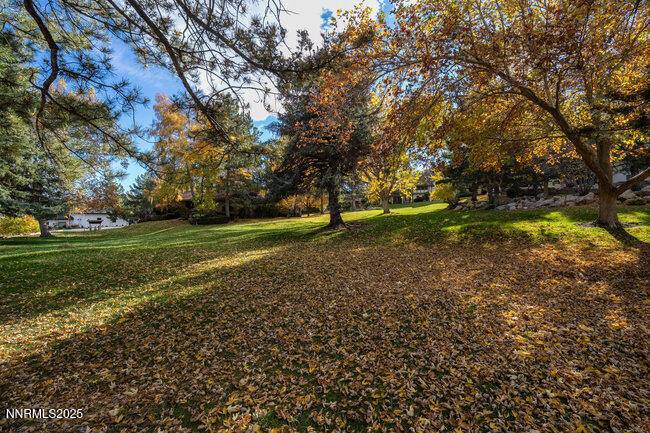 2522 Lake Ridge Shores Circle Reno, NV 89519 - Photo 21 of 50 a view of a field with trees