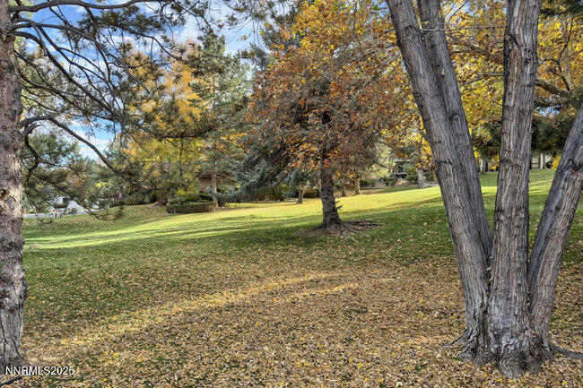 2522 Lake Ridge Shores Circle Reno, NV 89519 - Photo 46 of 50 a view of a tree in a yard with a tree