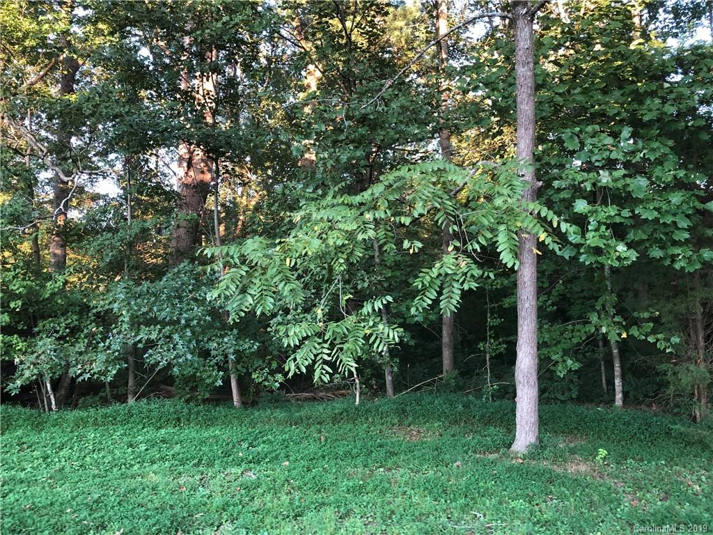 141 Autumn Leaf Road Troutman, NC 28166 - Photo 8 of 10 Gallery Image 8