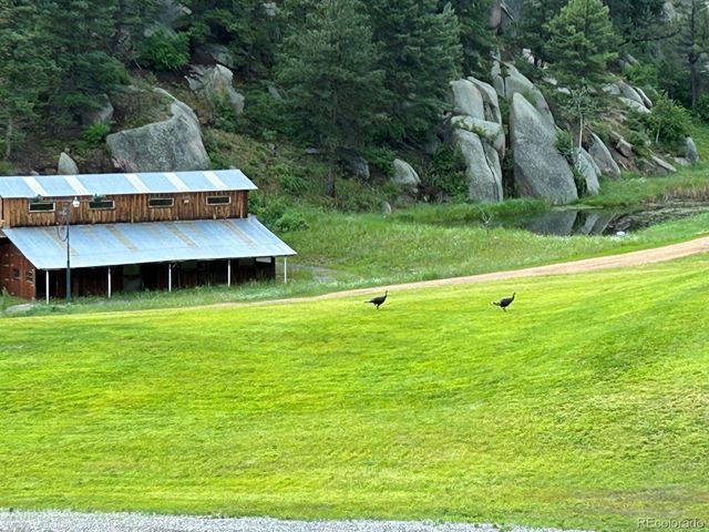 a view of a big yard in front of the house