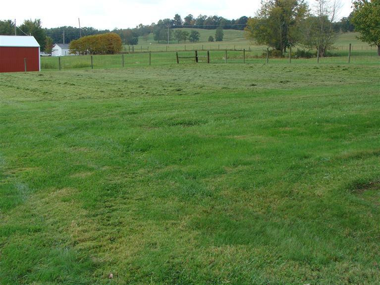 1887 Moores Ferry Road Salt Lick, KY 40371 - Photo 13 of 16 Photo 13