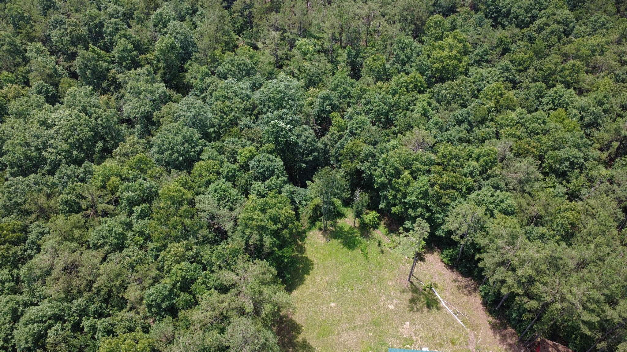 159 Topsy Road Hohenwald, TN 38462 - Photo 3 of 11