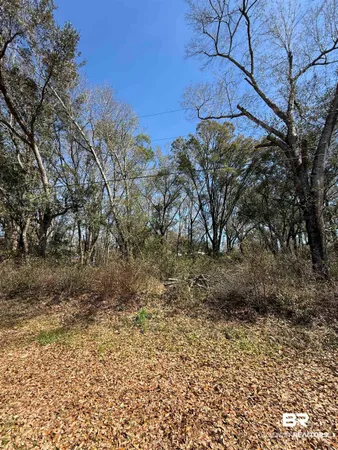 $59,000 | 0 Hill N Dale Drive, Silverhill, AL 36576