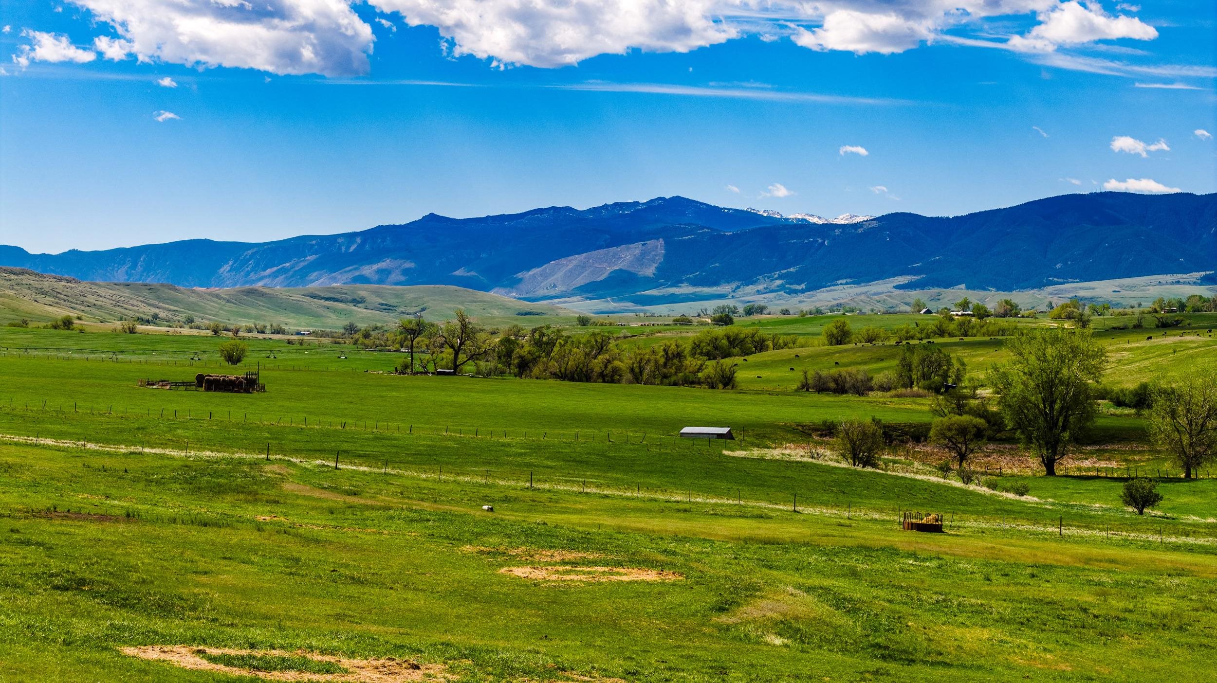 Tbd Beaver Creek Road Sheridan, WY 82801 - Photo 17 of 34