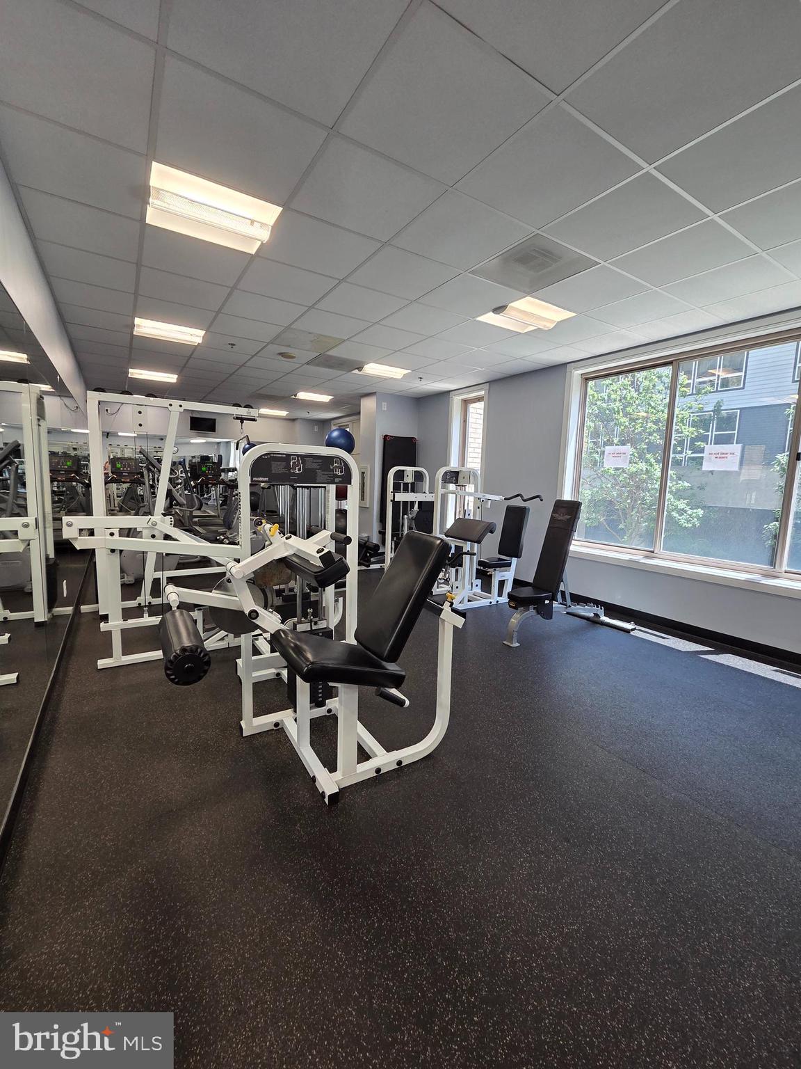 2726 Gallows Road, Unit 901 Vienna, VA 22180 - Photo 10 of 14 Community fitness center