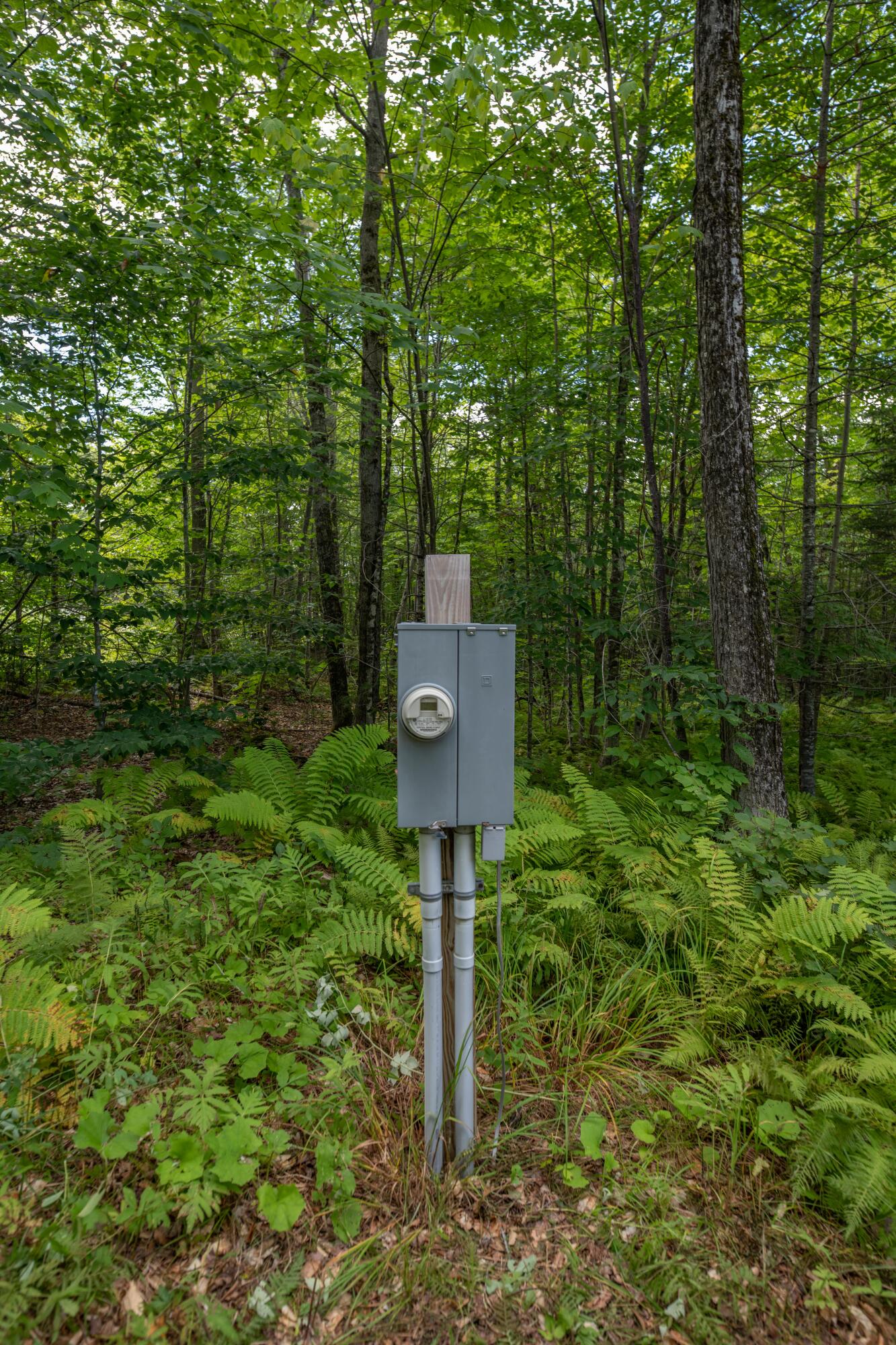 497 Blanchard Road Monson, ME 04464 - Photo 7 of 14 DSC_0815