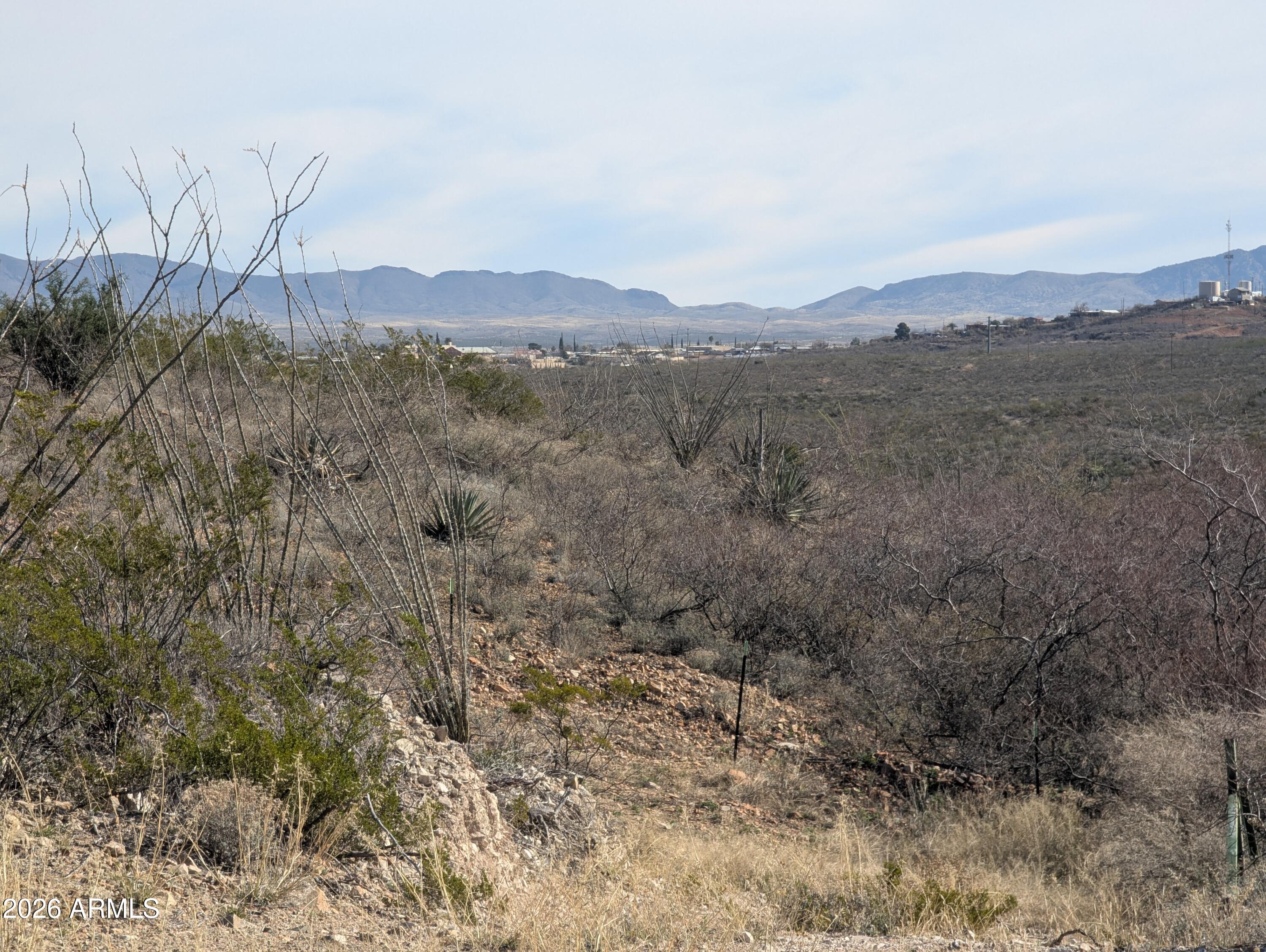 Tbd South Charleston Road Tombstone, AZ 85638 - Photo 8 of 8 a view of a lush green mountain in the distance in a field
