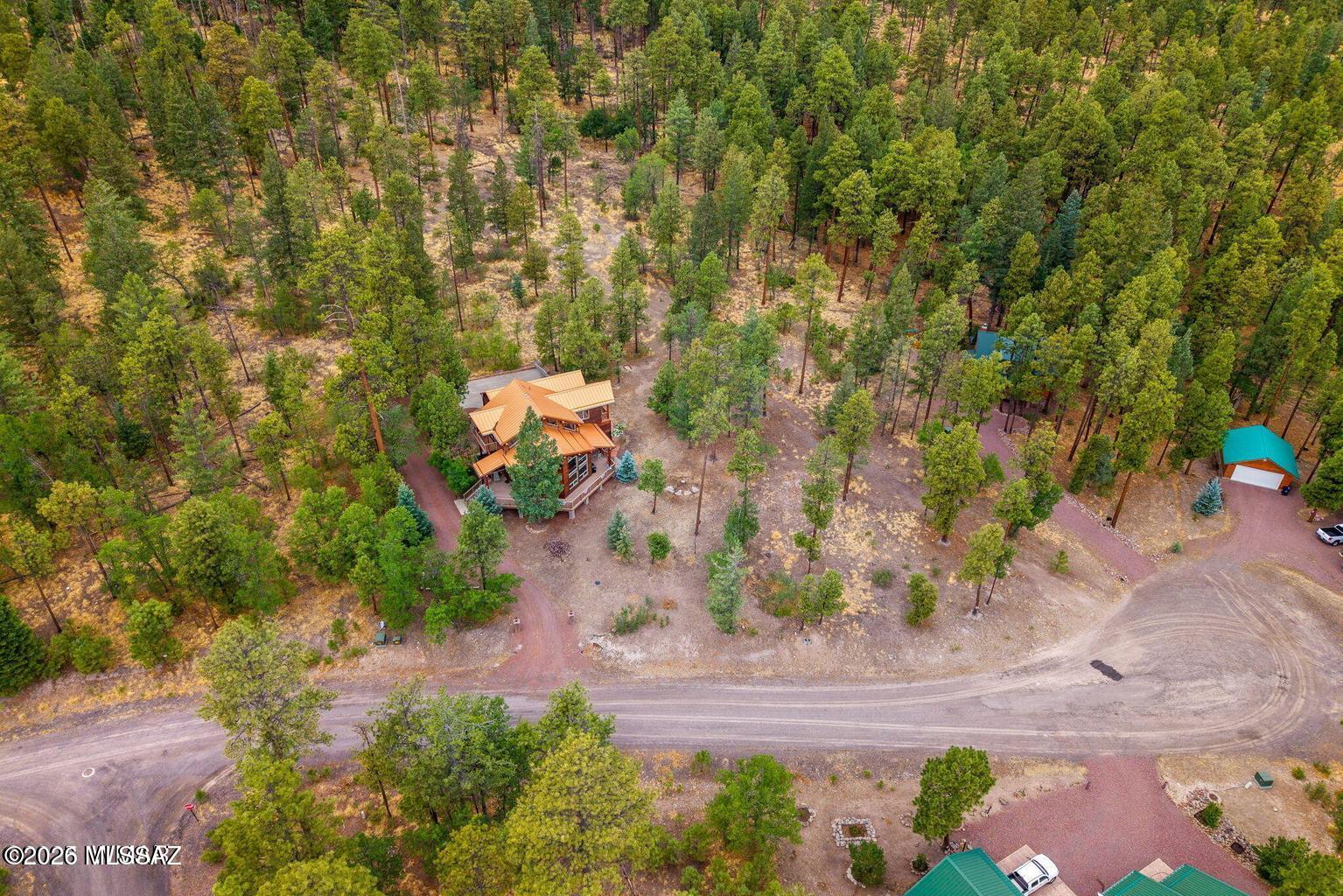 17 2195 Alpine, AZ 85920 - Photo 46 of 48 a view of a yard with plants and large trees
