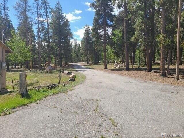 757 Thompson Park Road Fairplay, CO 80440 - Photo 34 of 34 Gallery Image 34