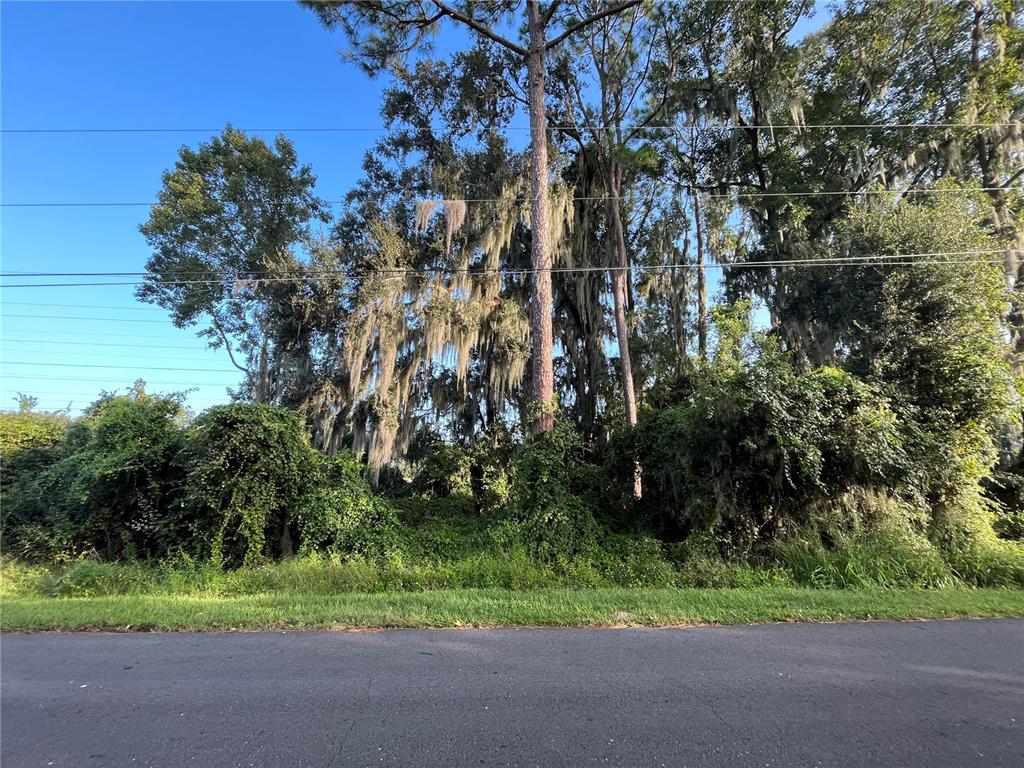 262 Toms Road DeBary, FL 32713 - Photo 6 of 8