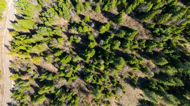 $148,999 | Lot 9 Lone Moose Drive, Plummer, ID 83851