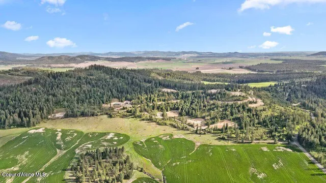 $148,999 | Lot 9 Lone Moose Drive, Plummer, ID 83851