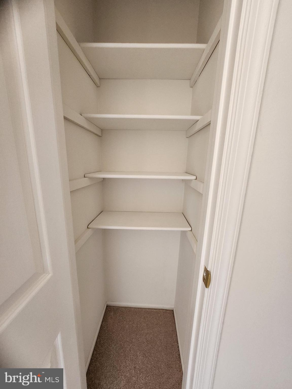 103 Lucas Lane Voorhees, NJ 08043 - Photo 17 of 28 Hallway pantry