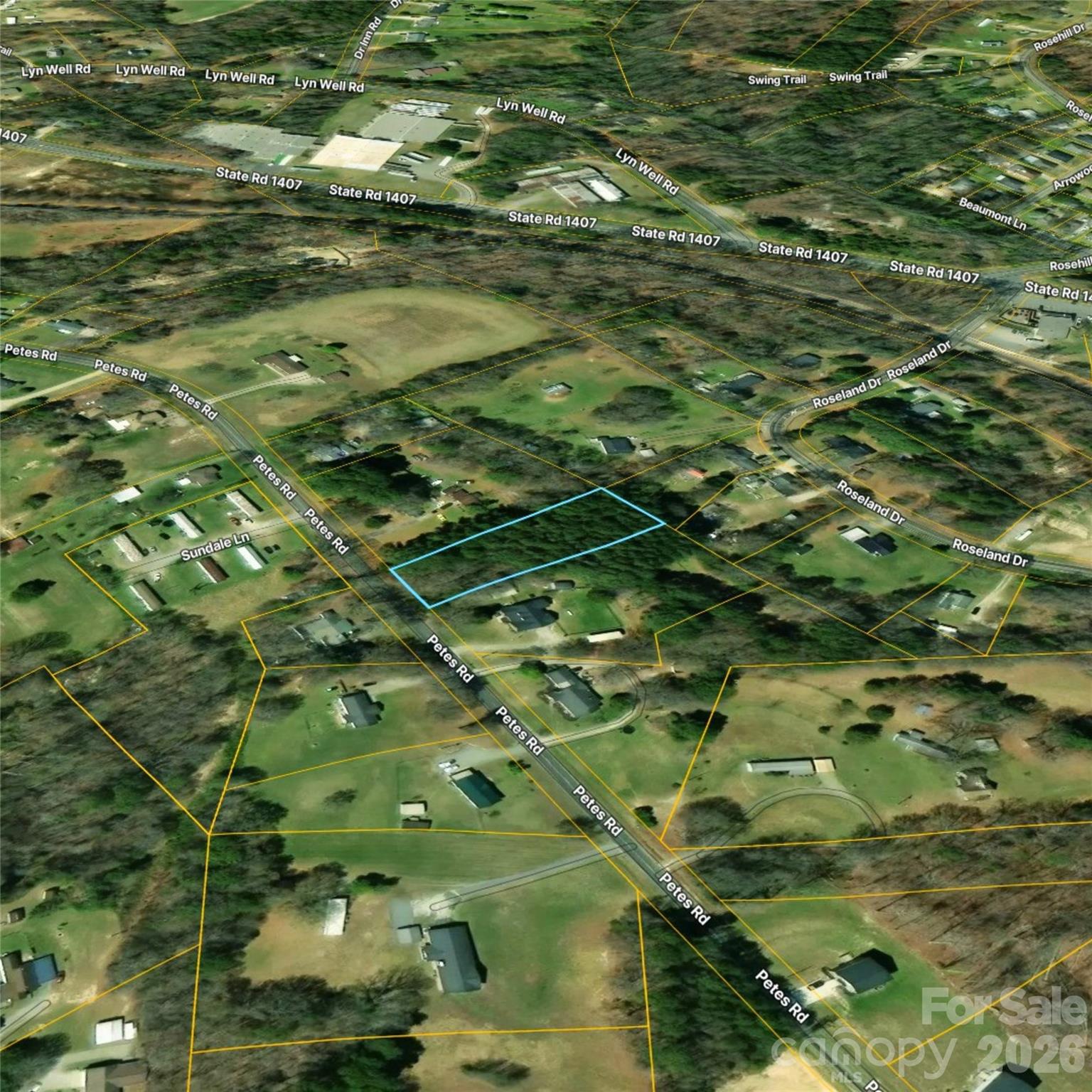 00 Petes Road Lincolnton, NC 28092 - Photo 4 of 6