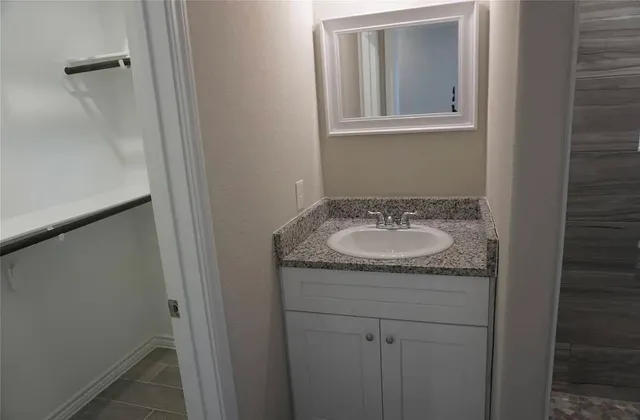 a sink and a mirror