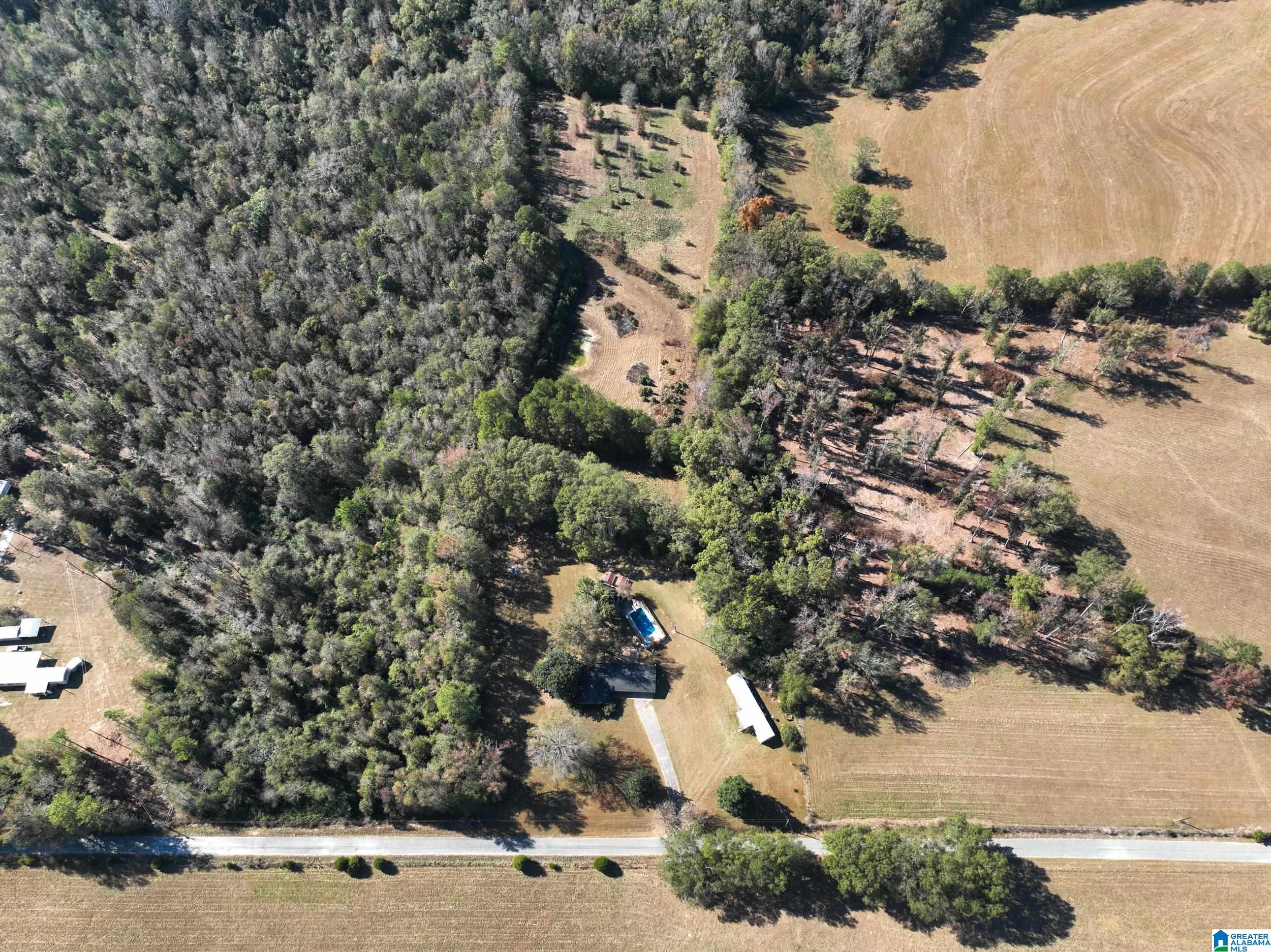 733 County Road 511 Verbena, AL 36091 - Photo 3 of 29