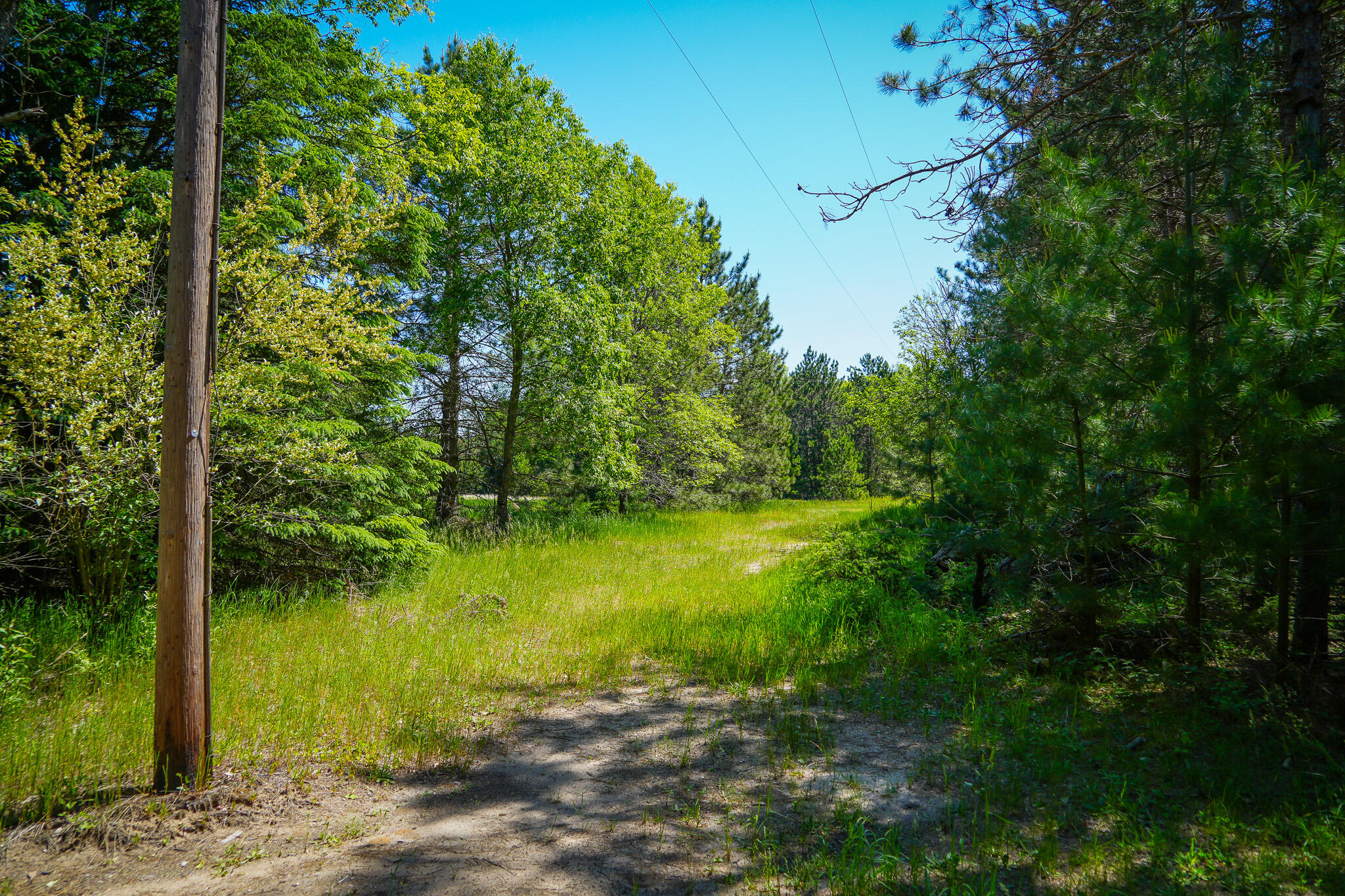 Parcel B Makinen Road Kaleva, MI 49645 - Photo 22 of 38 DSC00233