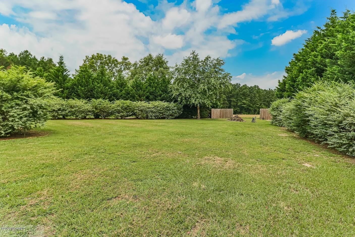 5238 Colorado Road Bailey, NC 27807 - Photo 4 of 27 Back Yard