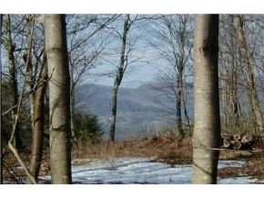 Lot 48 Deacon Willy Road Campton, NH 03223 - Photo 2 of 6
