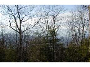 Lot 48 Deacon Willy Road Campton, NH 03223 - Photo 4 of 6