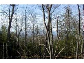 Lot 48 Deacon Willy Road Campton, NH 03223 - Photo 5 of 6