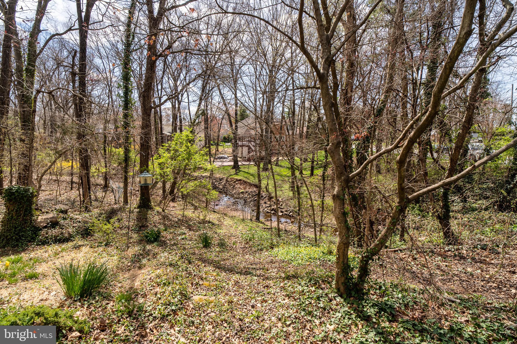 8605 Stonewall Road Manassas, VA 20110 - Photo 41 of 42 Park-like haven in the city