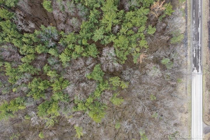 0 East Southern Road Montgomery, MI 49255 - Photo 1 of 1