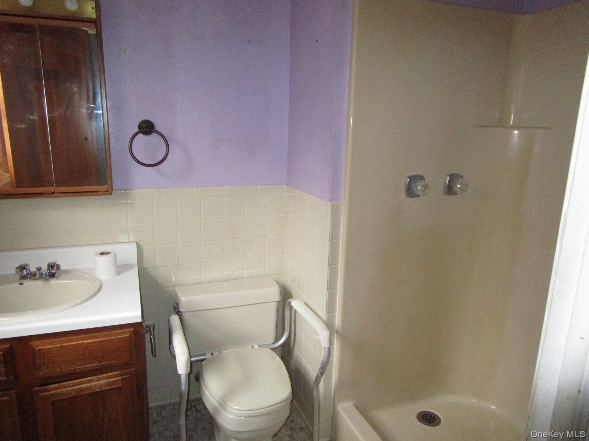 69 County Rte 93 New Hampton, NY 10958 - Photo 14 of 25 a bathroom with a sink a toilet and shower