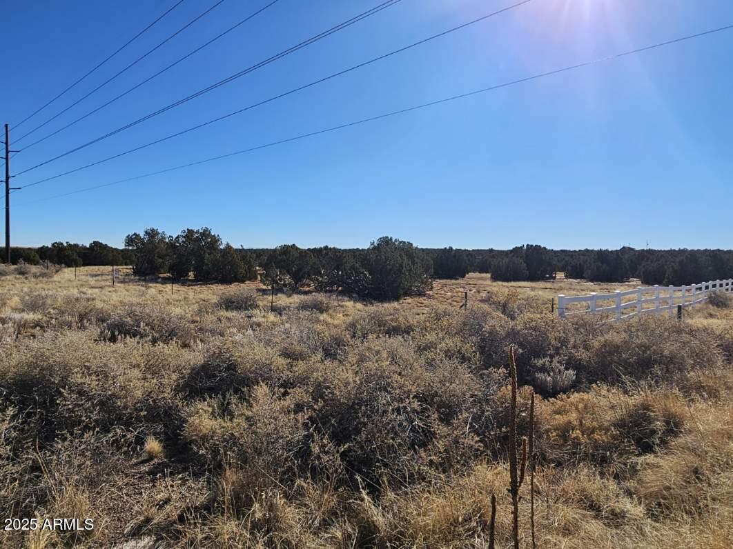 3589 Mill View Road, Unit G Heber, AZ 85928 - Photo 8 of 9 Resized_20250110_111720_1736537451880
