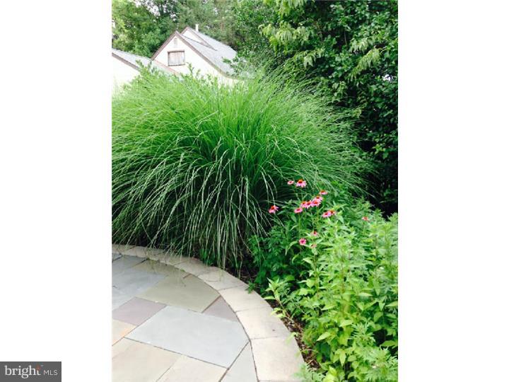 32 Devonwood Road Wayne, PA 19087 - Photo 22 of 25 Back Yard