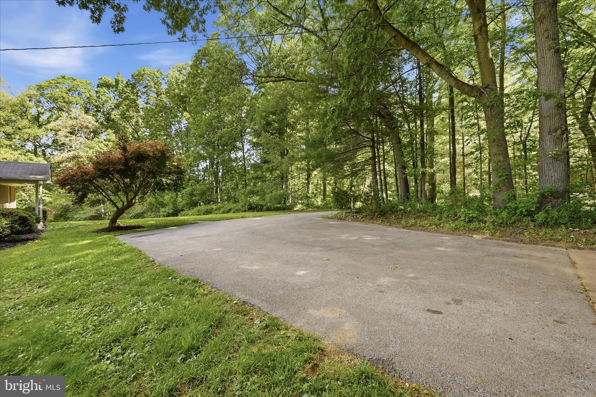 338 Springfield Estates Drive Rileyville, VA 22650 - Photo 66 of 99 Driveway