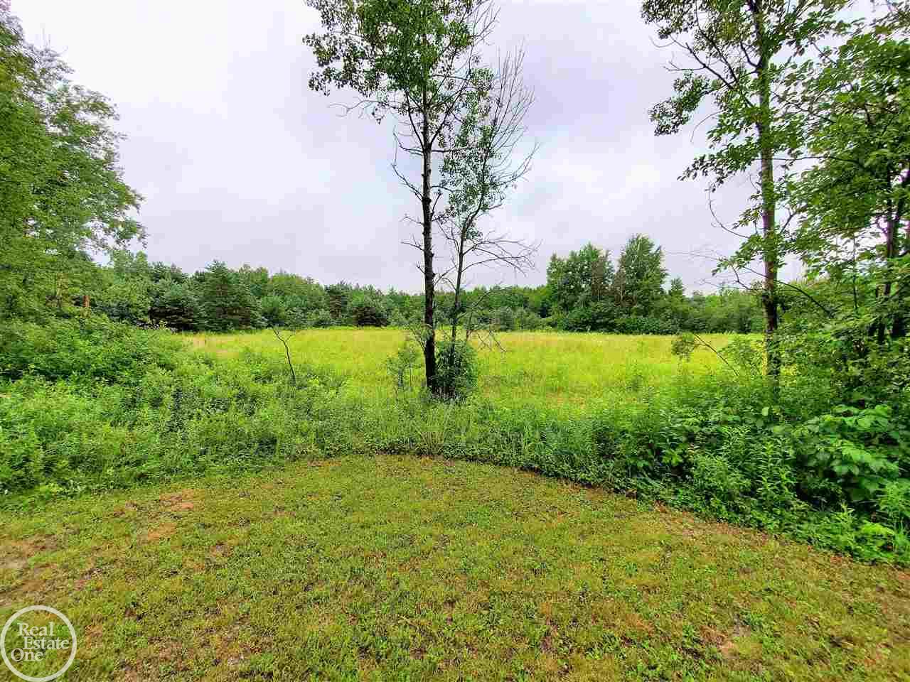 270 East Youngs Road Gladwin, MI 48624 - Photo 58 of 71 50048600-57.JPG