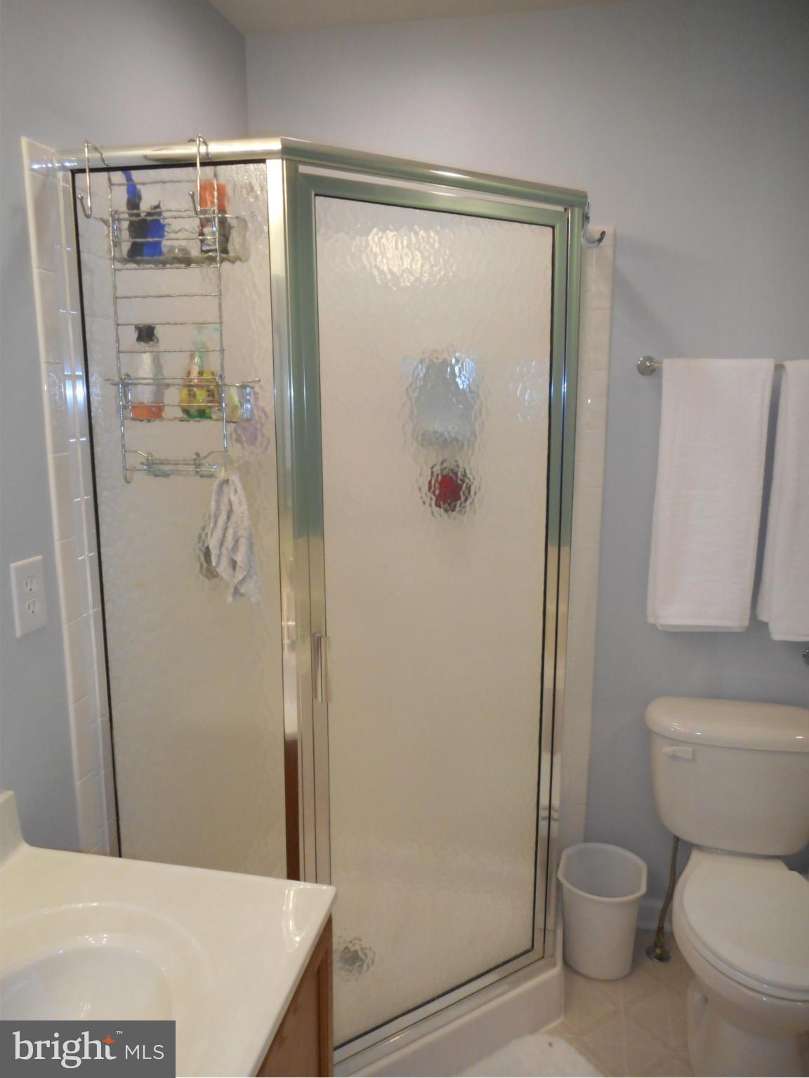 218 Rumbling Rock Road Hedgesville, WV 25427 - Photo 11 of 18 Bath (Master)